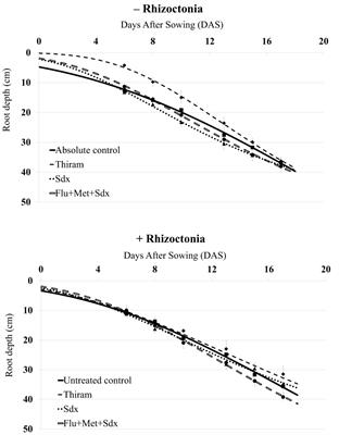 Early morpho-physiological response of oilseed rape under seed applied Sedaxane fungicide and Rhizoctonia solani pressure